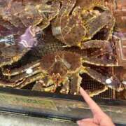 ヒメ日記 2025/04/29 18:39 投稿 まなか マリン千姫