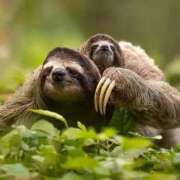 ヒメ日記 2025/05/08 22:26 投稿 まなか マリン千姫