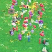 ヒメ日記 2025/06/13 17:36 投稿 まなか マリン千姫