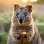 ヒメ日記 2025/06/19 23:56 投稿 まなか マリン千姫