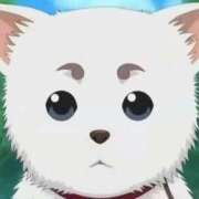 ヒメ日記 2025/09/20 20:55 投稿 まなか マリン千姫