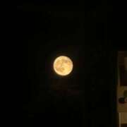 ヒメ日記 2025/10/08 21:32 投稿 まなか マリン千姫