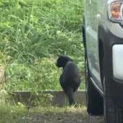 ヒメ日記 2025/10/12 19:02 投稿 まなか マリン千姫