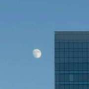 ヒメ日記 2025/11/14 21:22 投稿 まなか マリン千姫