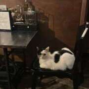 まなか ありがとうございました マリン千姫