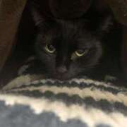 ヒメ日記 2024/12/11 20:14 投稿 たお 熟女の風俗最終章 新潟店