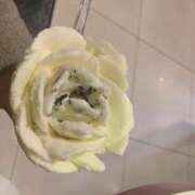 ヒメ日記 2025/04/21 17:05 投稿 たお 熟女の風俗最終章 新潟店