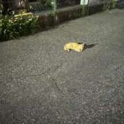 ヒメ日記 2025/05/31 11:04 投稿 たお 熟女の風俗最終章 新潟店