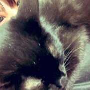 ヒメ日記 2025/07/29 12:19 投稿 たお 熟女の風俗最終章 新潟店