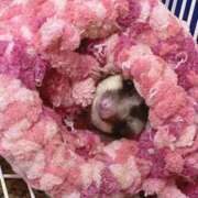 ヒメ日記 2025/08/09 16:09 投稿 たお 熟女の風俗最終章 新潟店