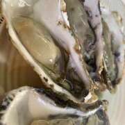 ヒメ日記 2025/08/17 22:26 投稿 たお 熟女の風俗最終章 新潟店