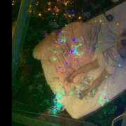 ヒメ日記 2025/08/21 21:19 投稿 たお 熟女の風俗最終章 新潟店