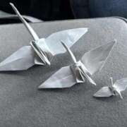 ヒメ日記 2025/11/10 06:13 投稿 たお 熟女の風俗最終章 新潟店