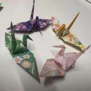 ヒメ日記 2025/12/05 16:47 投稿 たお 熟女の風俗最終章 新潟店