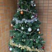 ヒメ日記 2025/12/08 15:13 投稿 たお 熟女の風俗最終章 新潟店