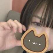 たお ねこはーと 熟女の風俗最終章 新潟店