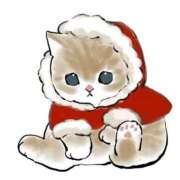 ヒメ日記 2024/12/17 19:25 投稿 あきら ナチュラルプリンセス