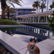 ヒメ日記 2025/08/04 08:50 投稿 みずき 大和人妻城