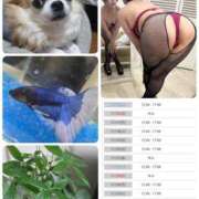 ヒメ日記 2025/11/15 12:10 投稿 みずき 大和人妻城