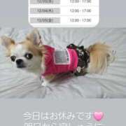 ヒメ日記 2025/11/30 14:15 投稿 みずき 大和人妻城