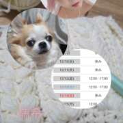 ヒメ日記 2025/12/09 19:30 投稿 みずき 大和人妻城