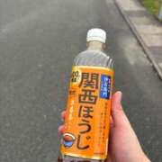 ヒメ日記 2025/06/23 17:22 投稿 まこと☆ 豊橋豊川ちゃんこ