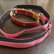 ヒメ日記 2025/09/05 13:42 投稿 まこと☆ 豊橋豊川ちゃんこ