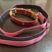 ヒメ日記 2025/09/10 22:41 投稿 まこと☆ 豊橋豊川ちゃんこ