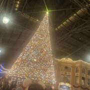 ヒメ日記 2024/12/12 16:20 投稿 さり チェックイン素人専門大人女子