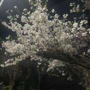 ヒメ日記 2025/04/07 14:29 投稿 さり チェックイン素人専門大人女子