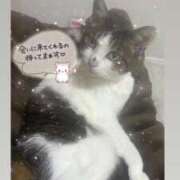 ヒメ日記 2025/04/26 13:19 投稿 さり チェックイン素人専門大人女子