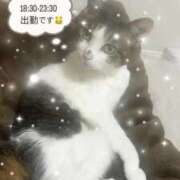 さり アツアツ チェックイン素人専門大人女子