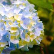 ヒメ日記 2025/06/09 09:59 投稿 きょうか 完熟ばなな 谷九店