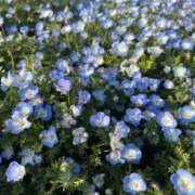 ヒメ日記 2025/08/10 15:21 投稿 ひなた 松戸角海老根本店