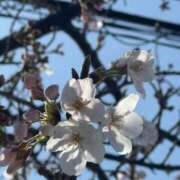 ひなた ごめんなさい 松戸角海老根本店