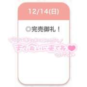 ヒメ日記 2025/12/14 22:17 投稿 えな【極上濃厚フェラ】 STELLA TOKYO－ステラトウキョウ－