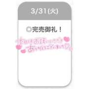 ヒメ日記 2026/03/31 21:45 投稿 えな【極上濃厚フェラ】 STELLA TOKYO－ステラトウキョウ－