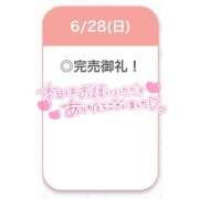 ヒメ日記 2026/06/28 15:02 投稿 えな【極上濃厚フェラ】 STELLA TOKYO－ステラトウキョウ－