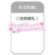 ヒメ日記 2026/08/29 00:00 投稿 えな【極上濃厚フェラ】 STELLA TOKYO－ステラトウキョウ－
