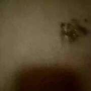 ヒメ日記 2025/02/24 15:03 投稿 こなつ sakura