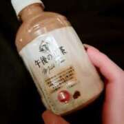 ヒメ日記 2025/03/01 10:03 投稿 こなつ sakura