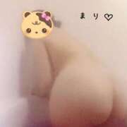 ヒメ日記 2025/03/16 00:00 投稿 まり 世界のあんぷり亭 新宿総本店