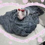 ヒメ日記 2025/12/15 21:01 投稿 まり 世界のあんぷり亭 新宿総本店