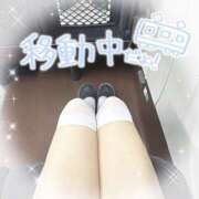 ヒメ日記 2025/01/10 11:16 投稿 ふわり 姫コレクション