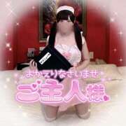 ヒメ日記 2025/11/16 21:29 投稿 ふわり 姫コレクション