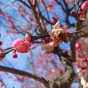 かなで 天気がいいね(≧∇≦) 渋谷じゃっくす