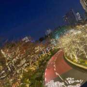 ヒメ日記 2024/12/12 18:39 投稿 ねむ 乳の湯