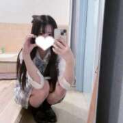 ヒメ日記 2025/03/11 15:42 投稿 にの アイドルチェッキーナ本店