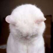 ヒメ日記 2025/07/05 12:32 投稿 にの アイドルチェッキーナ本店