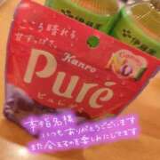 ヒメ日記 2025/04/12 17:53 投稿 なな☆みんな大好きロリ巨乳☆ ぽちゃぶらんか甲府店(カサブランカグループ)